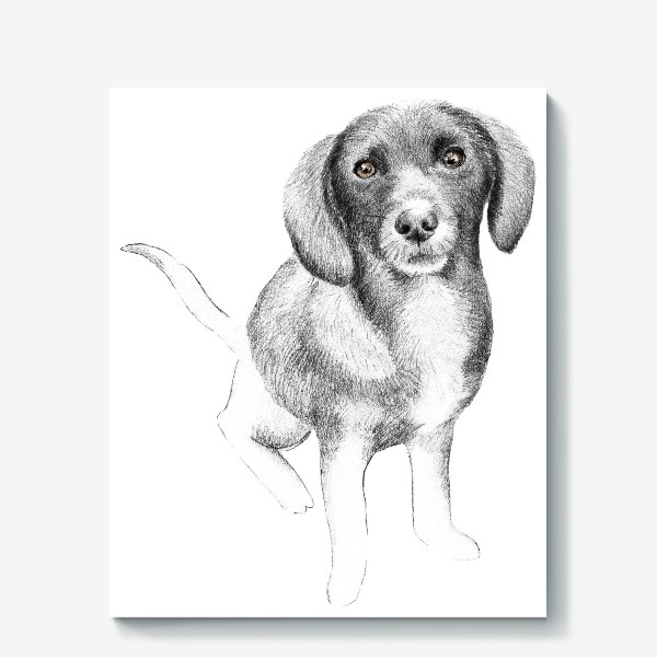 Холст «Щенок. Рисунок собаки карандашом»