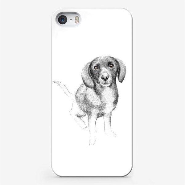 Чехол iPhone «Щенок. Рисунок собаки карандашом»