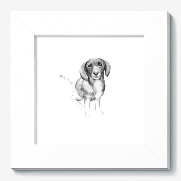 Картина «Щенок. Рисунок собаки карандашом»