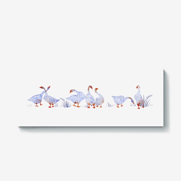Холст «Акварельная нарисованная вручную яркая иллюстрация с голубыми гусями, лебедями с красными лапами. Птицы в траве»