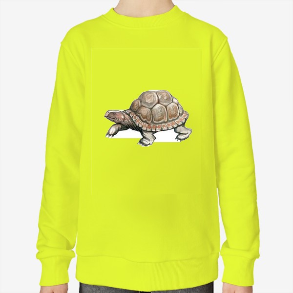 Свитшот «Акварельная нарисованная вручную иллюстрация с яркой иллюстрацией сухопутной черепахи, животное»