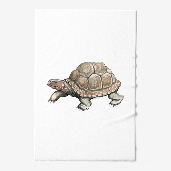 Полотенце &laquo;Акварельная нарисованная вручную иллюстрация с яркой иллюстрацией сухопутной черепахи, животное&raquo;