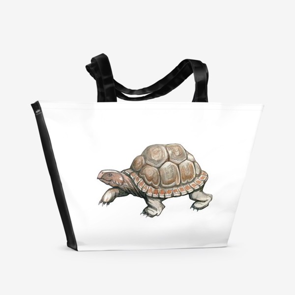 Пляжная сумка &laquo;Акварельная нарисованная вручную иллюстрация с яркой иллюстрацией сухопутной черепахи, животное&raquo;