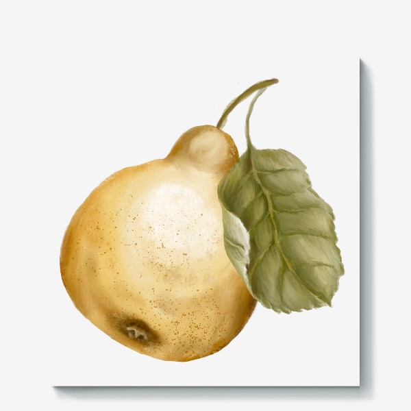Холст «Желтая груша с листом»