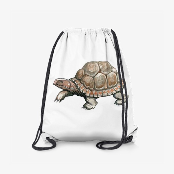 Рюкзак «Акварельная нарисованная вручную иллюстрация с яркой иллюстрацией сухопутной черепахи, животное»