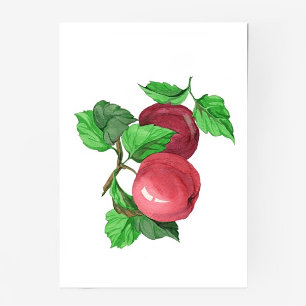 Постер «Яблоки»