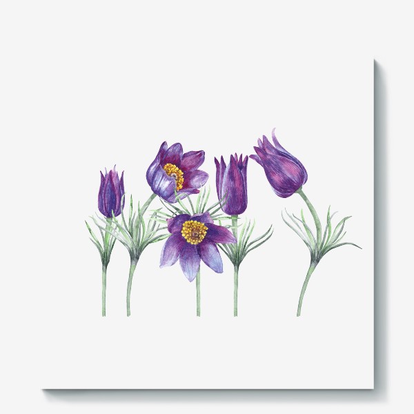 Холст &laquo;Первые весенние цветы. Фиолетовый подснежник. Лесные первоцветы. &raquo;