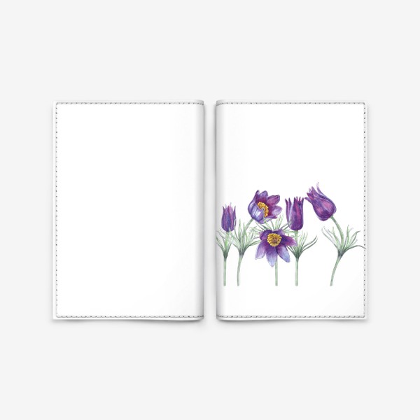 Обложка для паспорта «Первые весенние цветы. Фиолетовый подснежник. Лесные первоцветы. »
