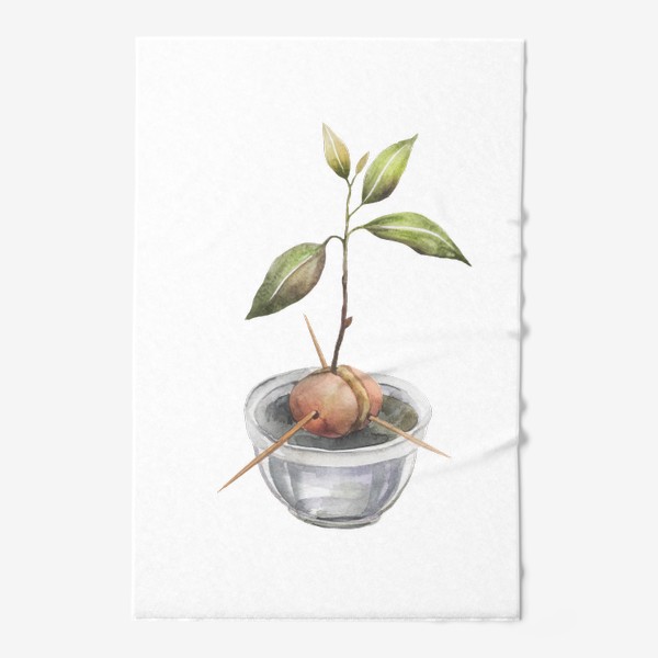 Полотенце &laquo;Росток авокадо. Косточка авокадо. Акварельная иллюстрация авокадо&raquo;