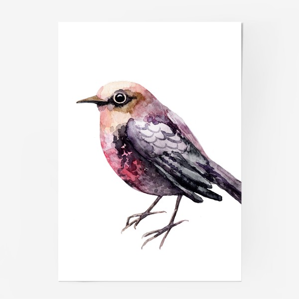 Постер «Сиреневая птичка. Акварельная птичка.»