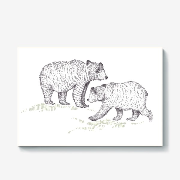 Холст «Графичная нарисованная вручную скандинавская детская иллюстрация. Лесные животные мишки. Два медведя»
