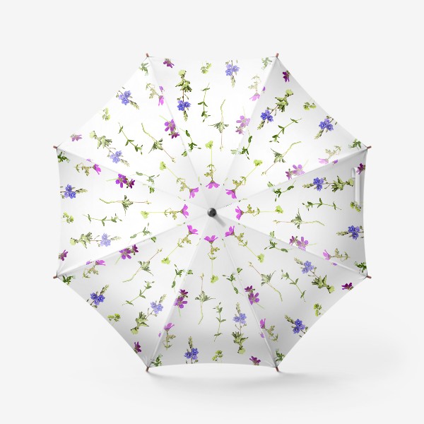 Зонт «Первоцветы. Весенние цветы»
