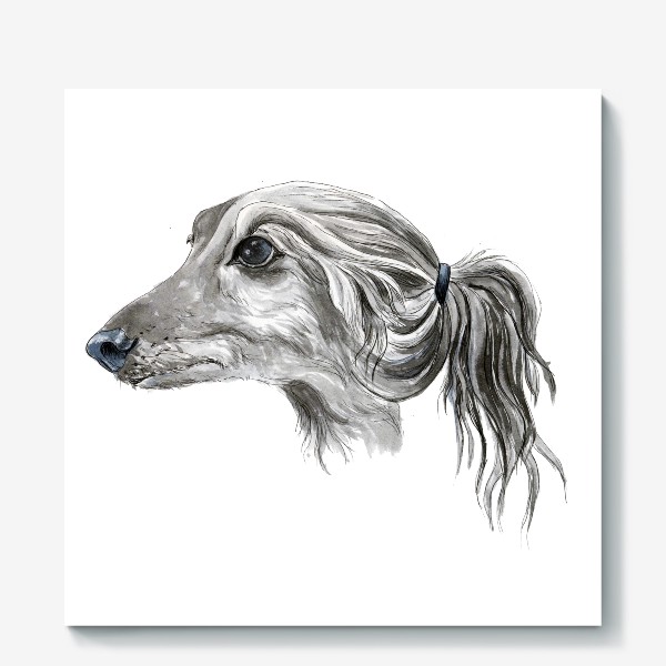 Холст «Портрет собаки породы салюки борзая»