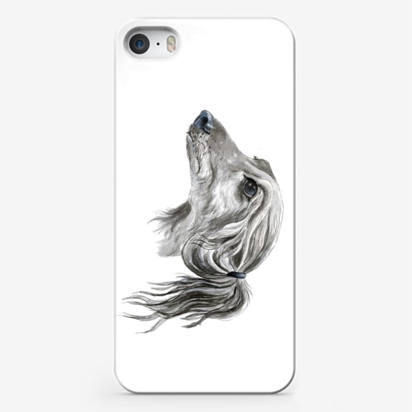 Чехол iPhone «Портрет собаки породы салюки борзая»