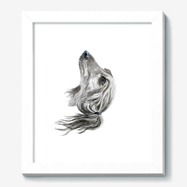 Картина «Портрет собаки породы салюки борзая»