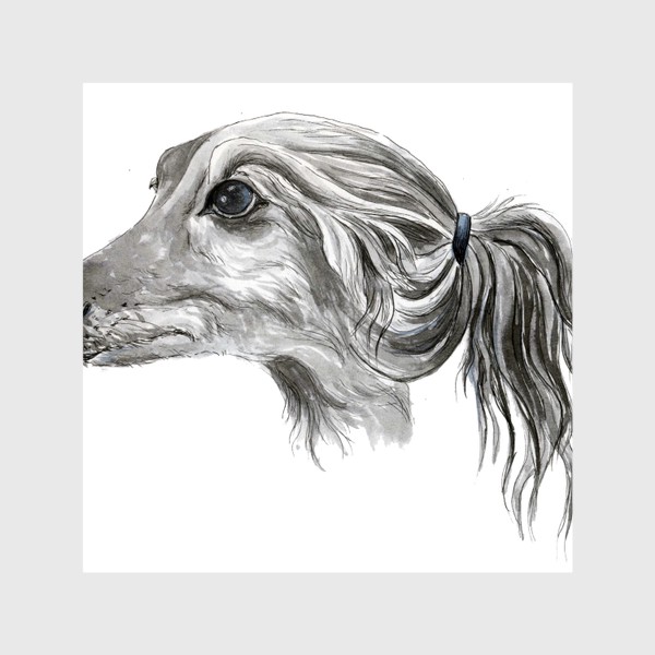 Шторы «Портрет собаки породы салюки борзая»