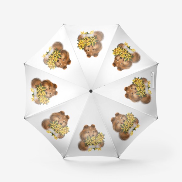Зонт «Шелти с букетом мимоз»