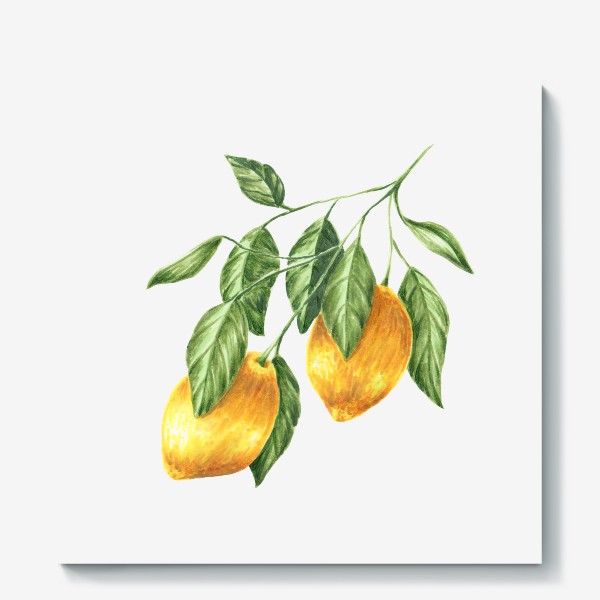 Холст «Лимоны на ветке»
