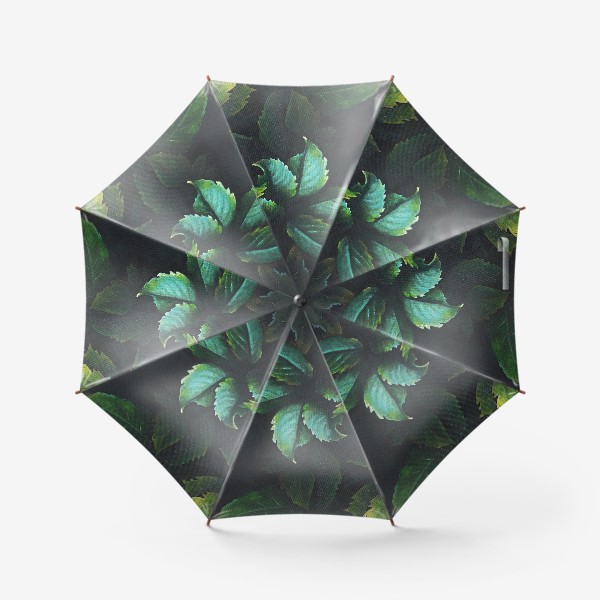 Зонт «Флора - богиня цветов на фоне листвы. Королева ночи»