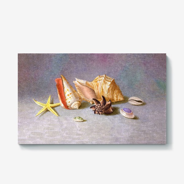 Холст &laquo;Натюрморт с ракушками. Ракушки акварелью. Дары моря. Живопись. Реализм.&raquo;