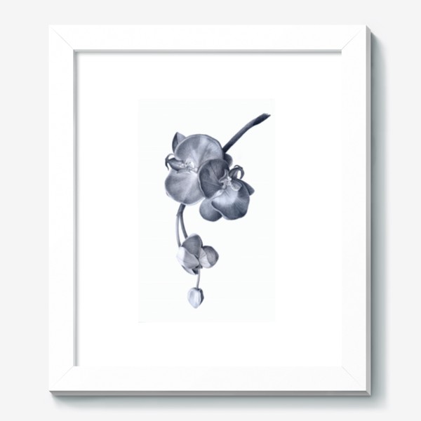 Картина «Веточка орхидеи. Орхидея. Графика. Реализм.»