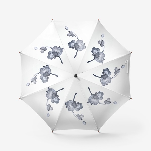 Зонт «Веточка орхидеи. Орхидея. Графика. Реализм.»