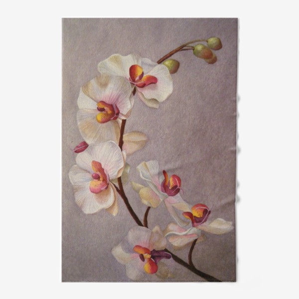 Полотенце «Орхидея. Бело-розовая орхидея. Акварель. Реализм.»