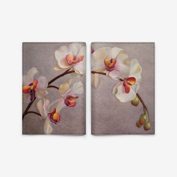 Обложка для паспорта «Орхидея. Бело-розовая орхидея. Акварель. Реализм.»