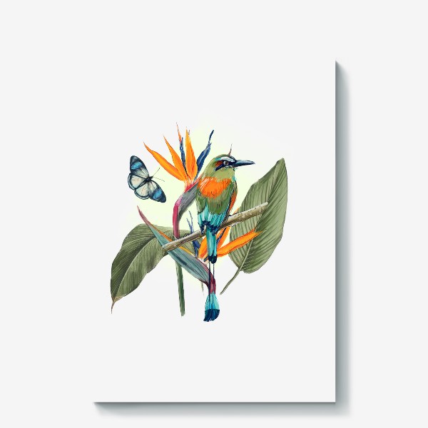 Холст «Тропическая птица и бабочка»