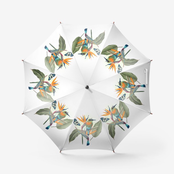 Зонт «Тропическая птица и бабочка»