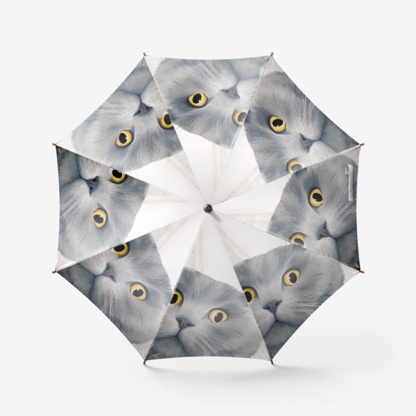 Зонт «Котейки»