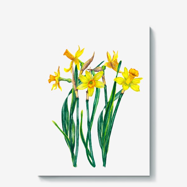 Холст «Весенние цветы Нарциссы 8 марта»