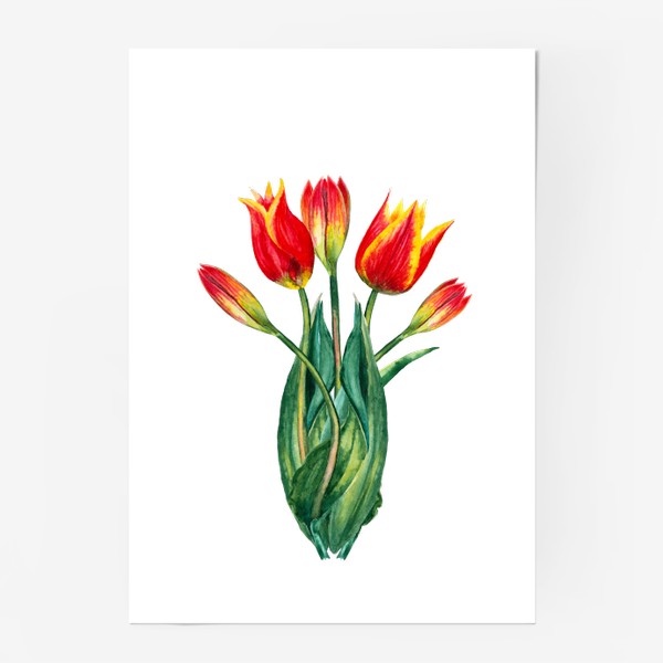 Постер «Весенние цветы Тюльпаны 8 марта»