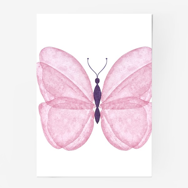 Постер «Бабочка розовая»