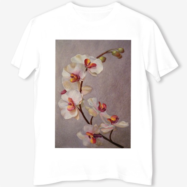 Футболка &laquo;Орхидея. Бело-розовая орхидея. Акварель. Реализм.&raquo;