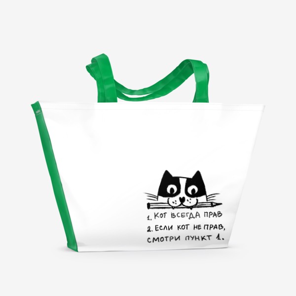 Пляжная сумка «Кот однозначно прав. Скетч, смешные коты»
