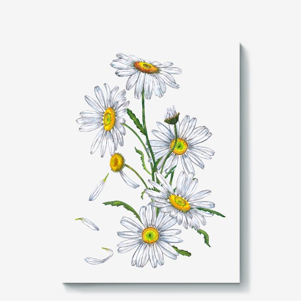 Холст &laquo;Белые садовые ромашки Летний букет Дачные цветы&raquo;