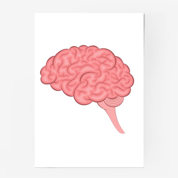 Постер «Мозг человека»