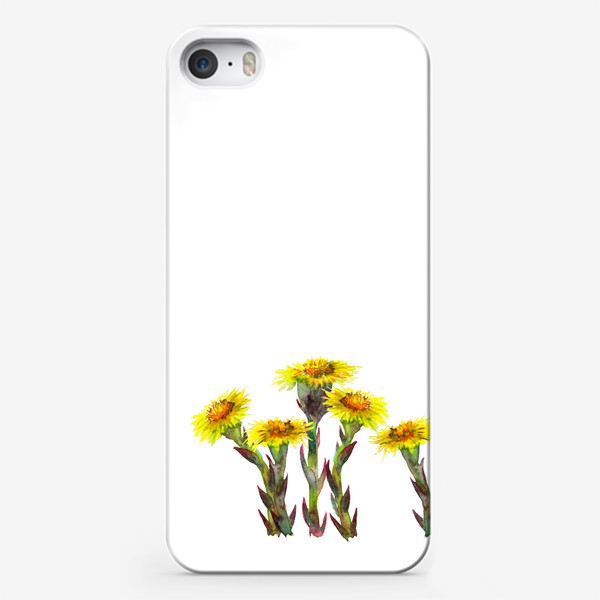 Чехол iPhone «Мать-и-мачеха. Весенние первые цветы. 8 марта.»