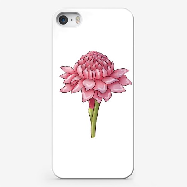 Чехол iPhone «Цветущий имбирь»