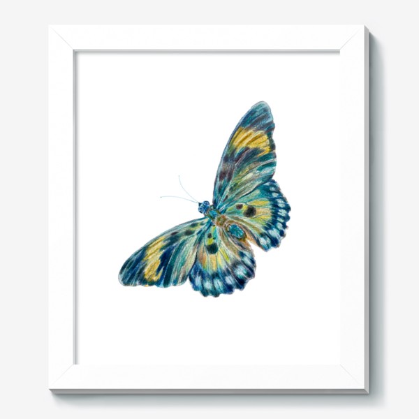 Картина «Бабочка в карандашной технике»