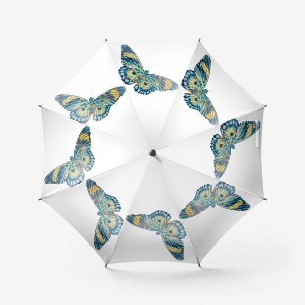 Зонт «Бабочка в карандашной технике»