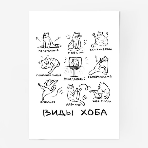Постер «Кошачьи позы, скетч виды ХОБА. Смешные коты»