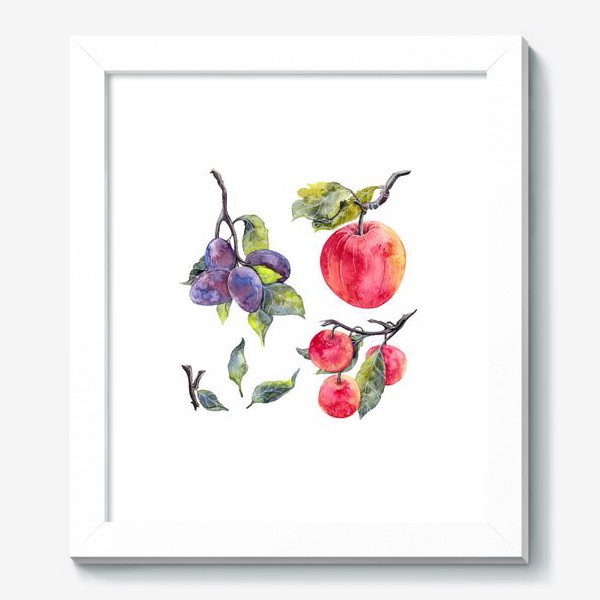 Картина «Слива и яблоко»