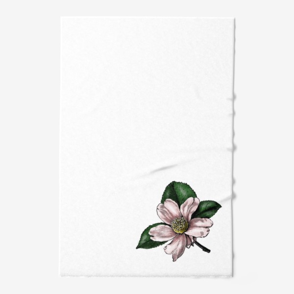 Полотенце &laquo;Цветок яблони, винтажная графика акварель и тушь, ботаническая иллюстрация&raquo;