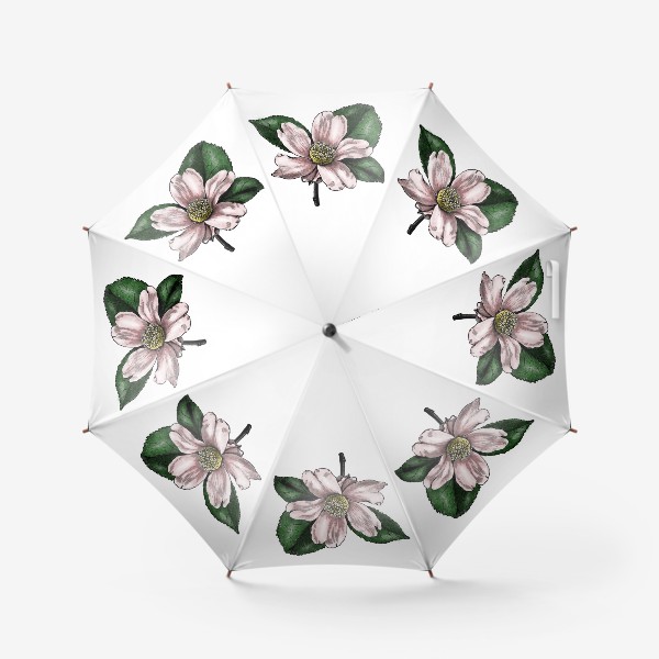Зонт «Цветок яблони, винтажная графика акварель и тушь, ботаническая иллюстрация»