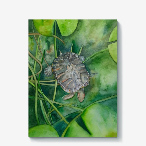 Холст «Красноухая черепаха в пруду»