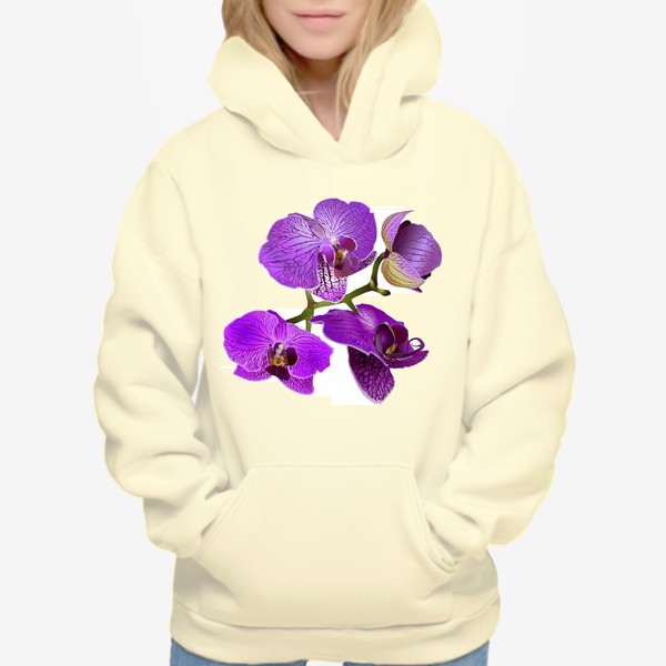 Худи «Цветы розовая орхидея »
