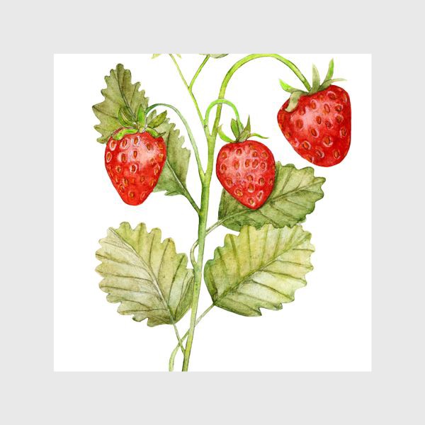 Шторы «Акварель куст ягоды Клубника»