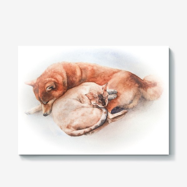 Холст «Сладких снов (кот и собака сиба-ину)»